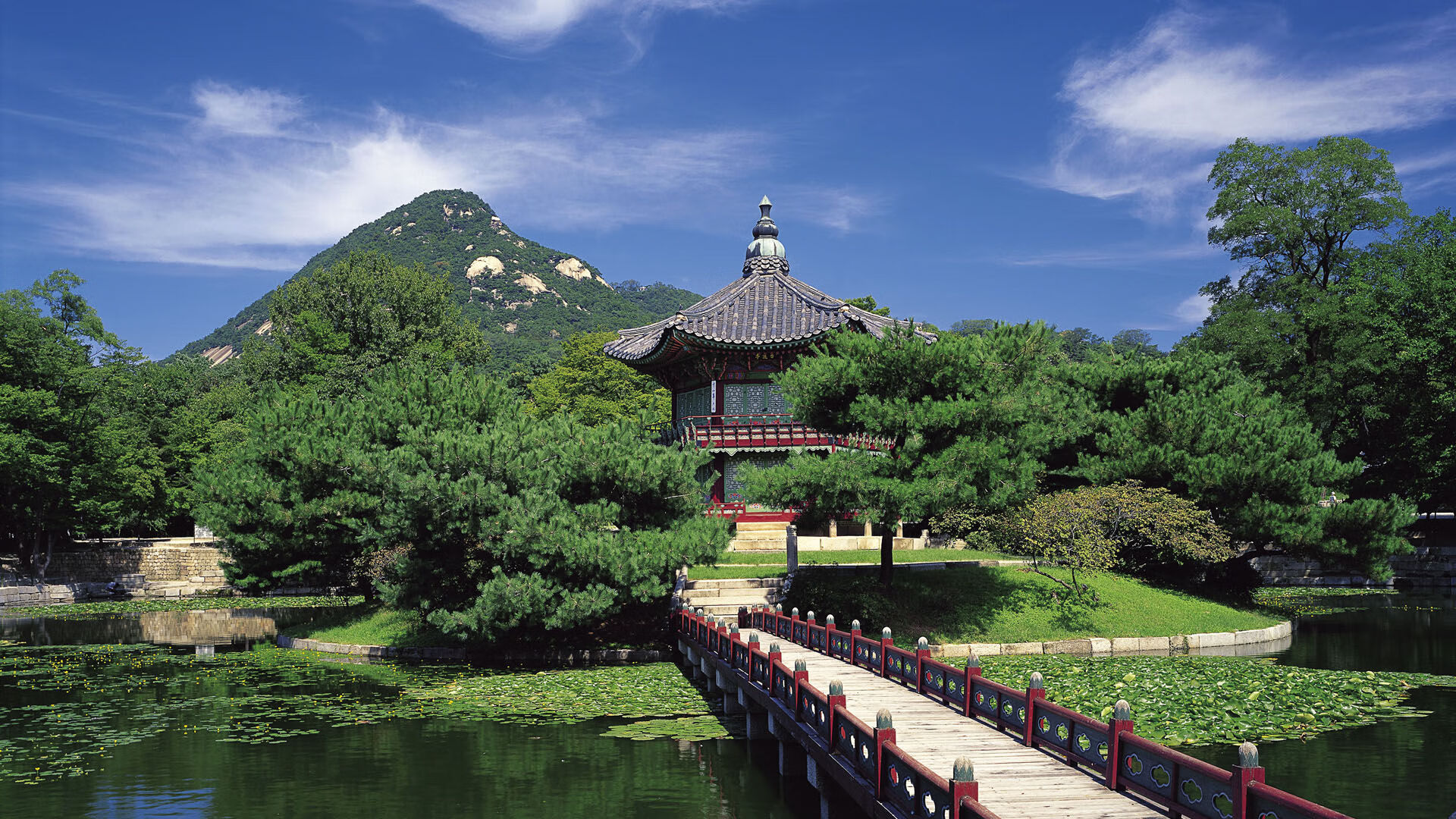 法甲赛场盛宴：炽热激情点燃全场，法甲热度