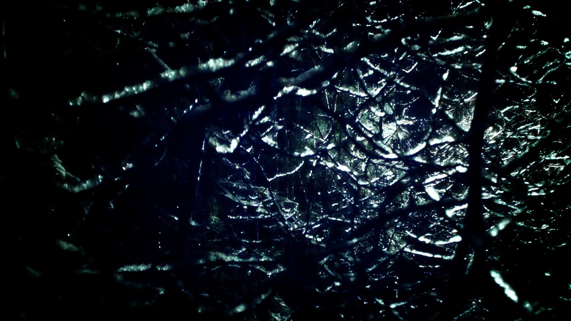 陈佳蝶泳冲线瞬间惊艳全场，陈佳怡游泳