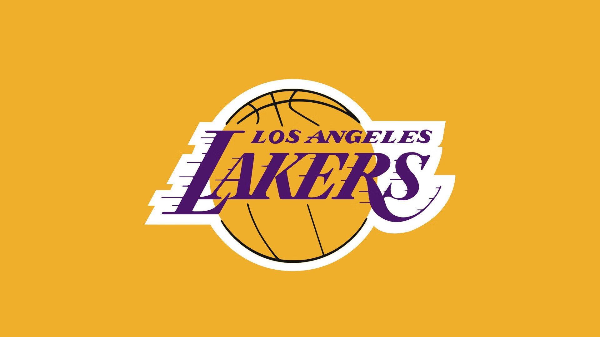 篮球职业联赛观众互动体验创新升级,篮球职业联盟